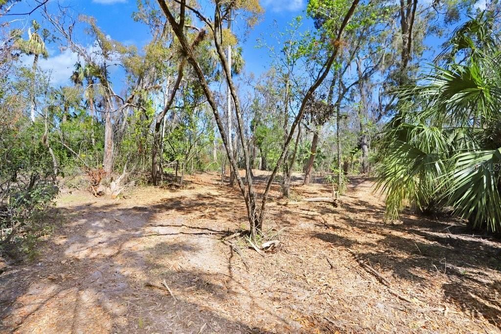 4868 Rambling River Road, Brandon, FL 33511 Photo