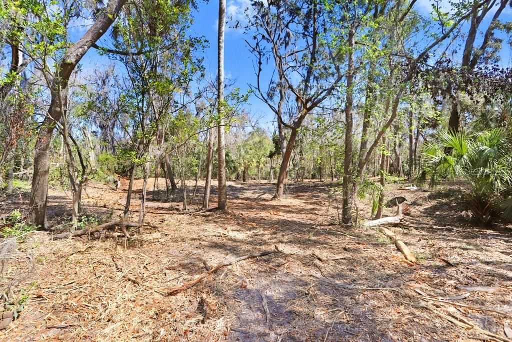 4868 Rambling River Road, Brandon, FL 33511 Photo