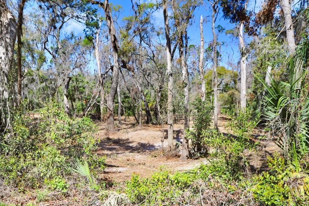 4868 Rambling River Road, Brandon, FL 33511 Photo