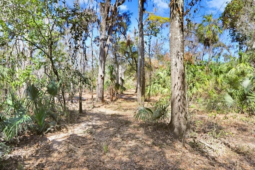 4868 Rambling River Road, Brandon, FL 33511 Photo