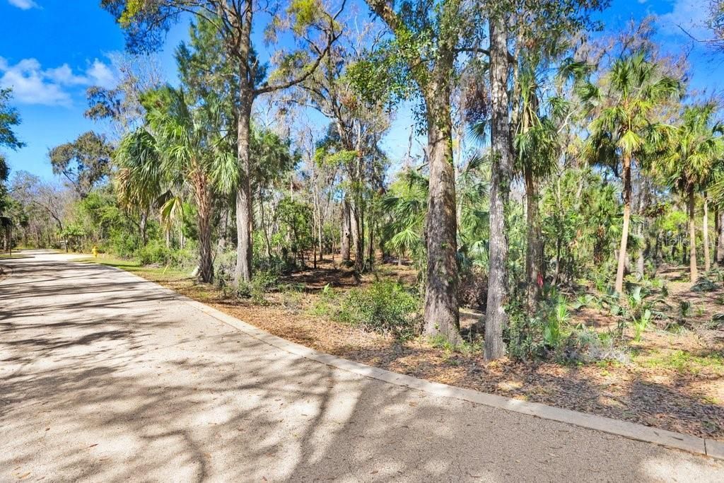 4868 Rambling River Road, Brandon, FL 33511 Photo