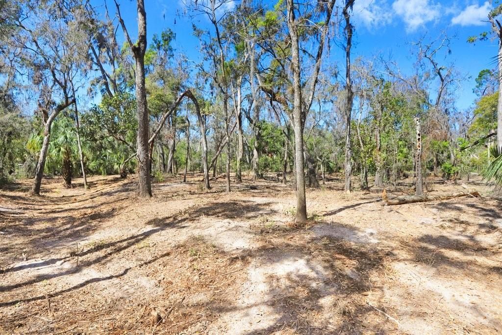 4868 Rambling River Road, Brandon, FL 33511 Photo