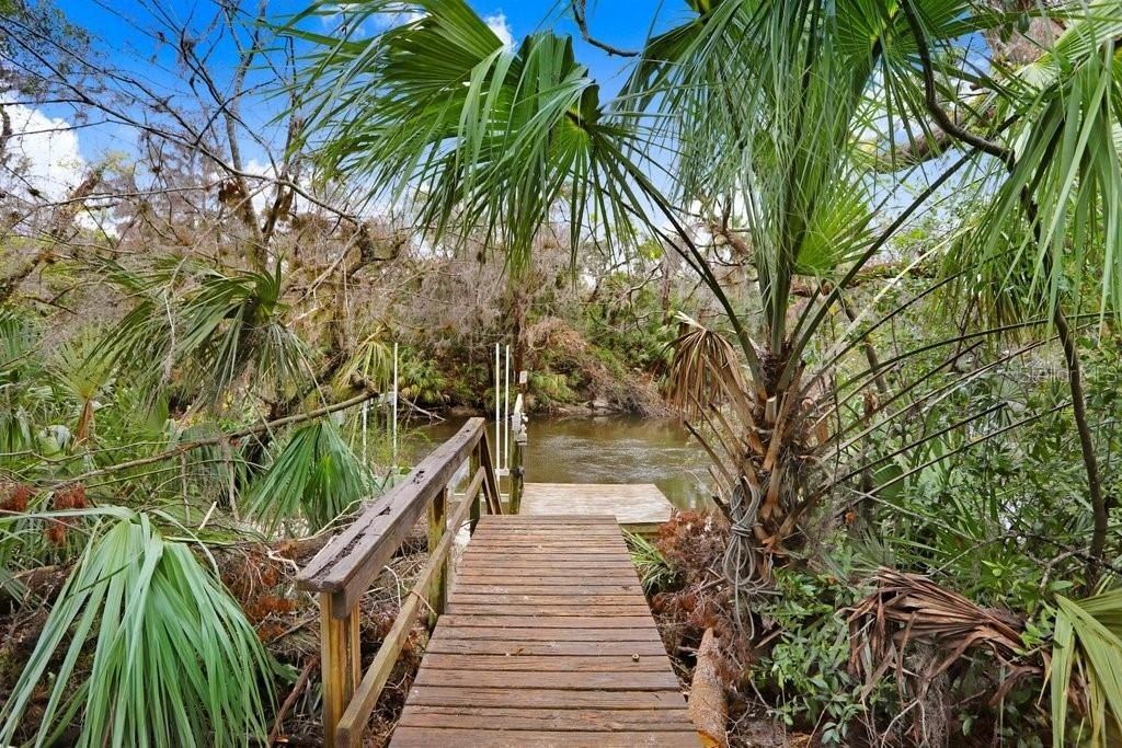 4868 Rambling River Road, Brandon, FL 33511 Photo
