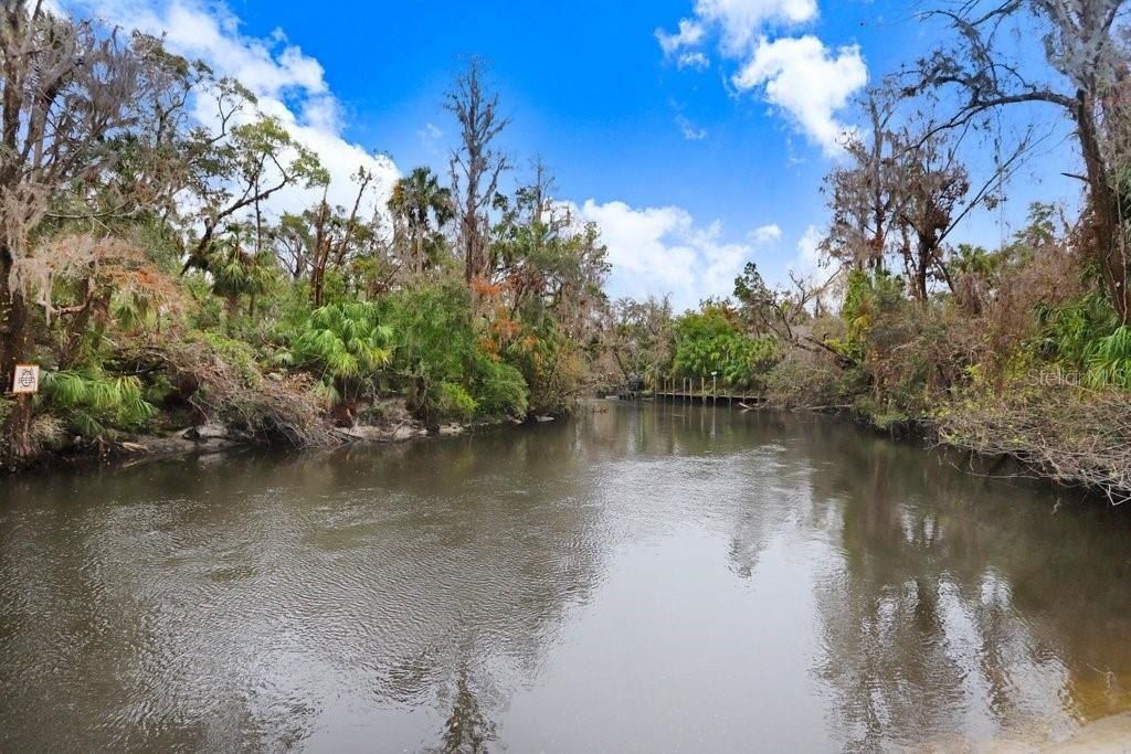 4868 Rambling River Road, Brandon, FL 33511 Photo