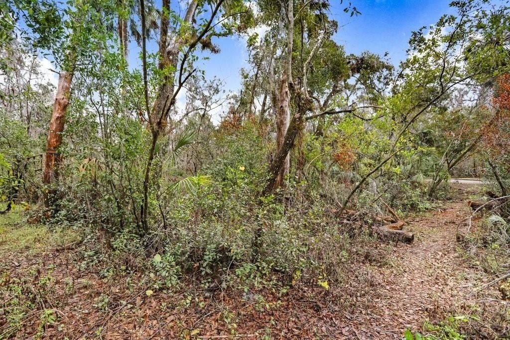 4868 Rambling River Road, Brandon, FL 33511 Photo