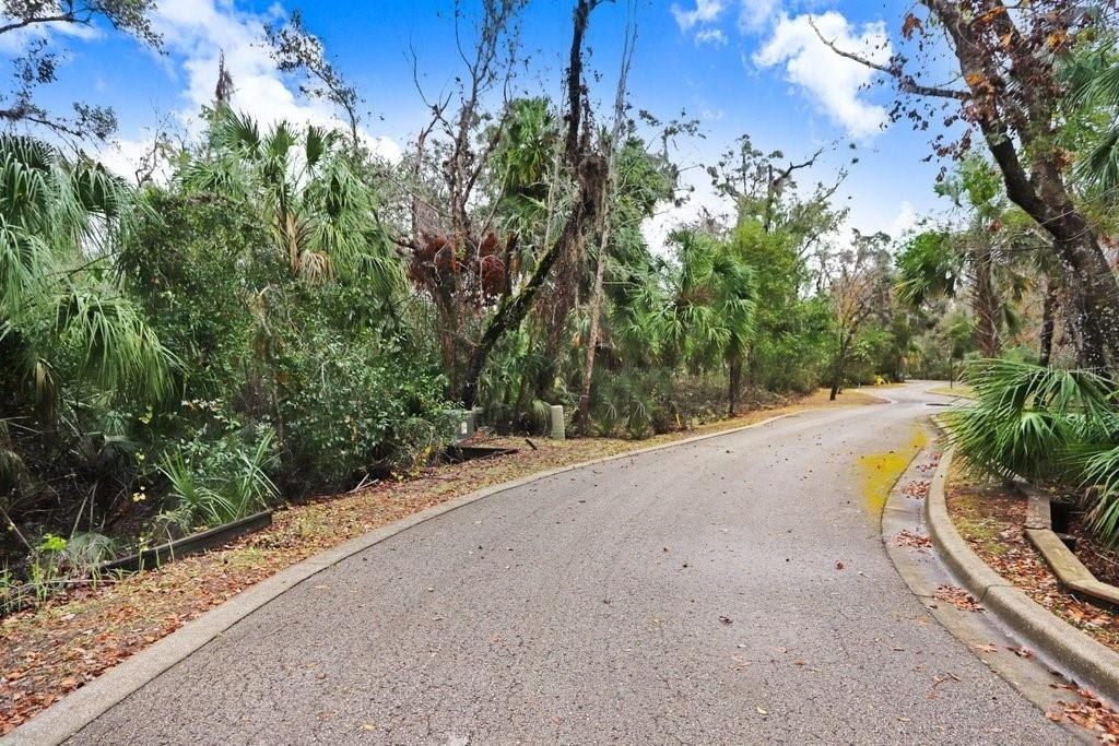 4868 Rambling River Road, Brandon, FL 33511 Photo
