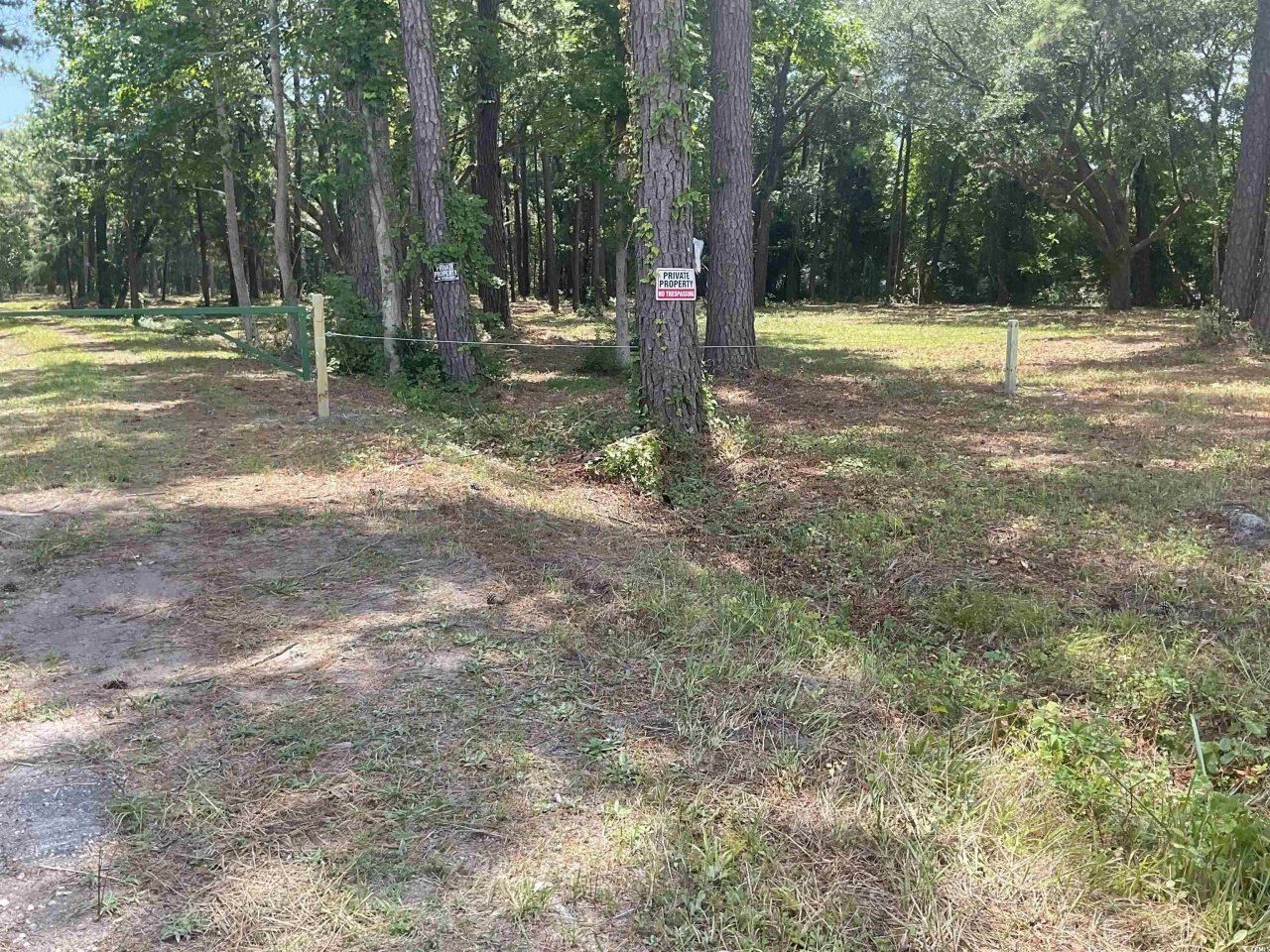 9890 Ocean Highway Photo 3