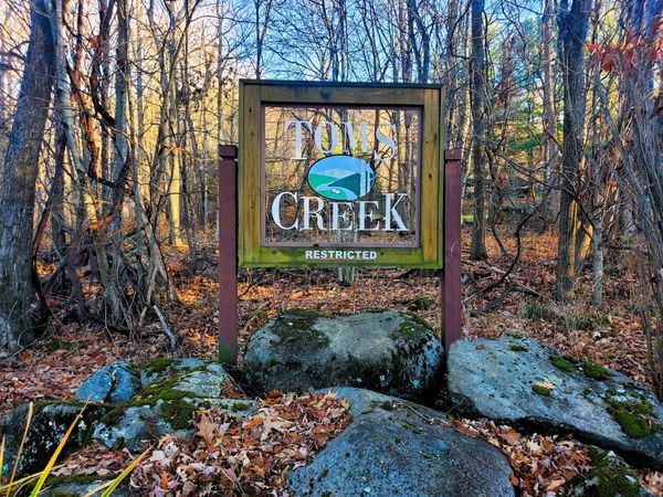 000 Toms Creek Drive, Roan Mountain, TN 37687