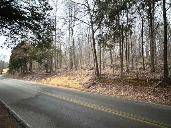 3.6 Acres Co Rd 88, Anderson, AL