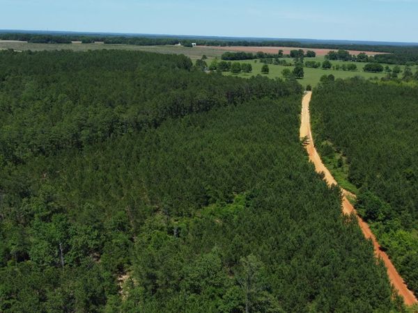 0 Brannon Montgomery Road, Mauk, GA 31058