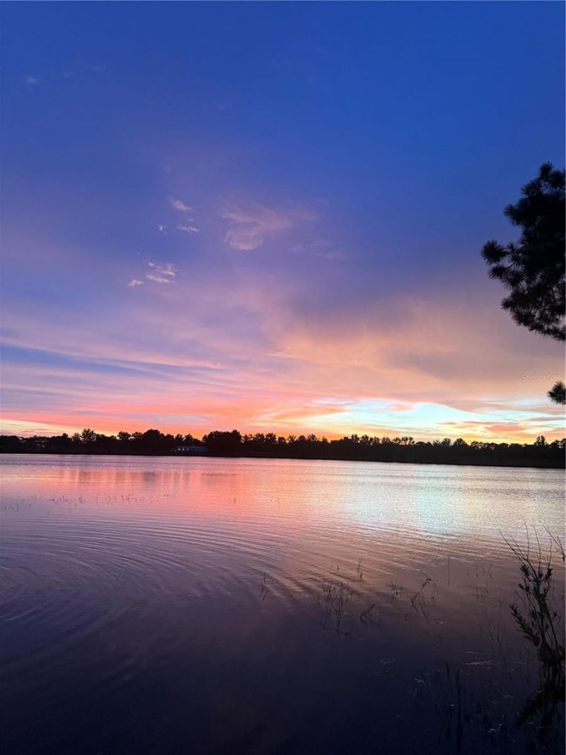 3412 Lake Diane Road, Tavares, FL 32778 Photo