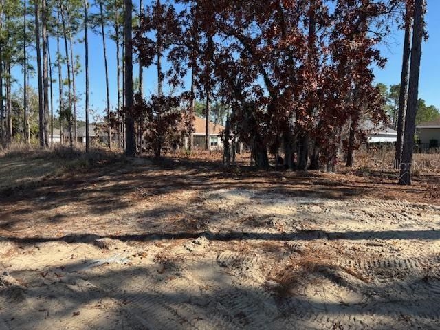 7685 SW 180th Circle, Dunnellon, FL 34432 Photo