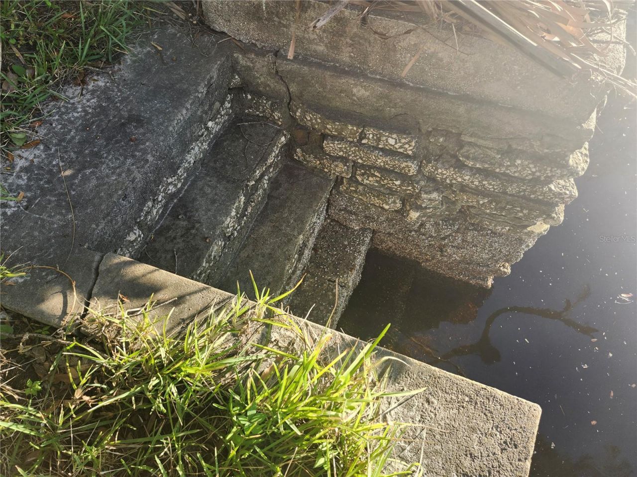 7224 N Ola Avenue, Tampa, FL 33604 Photo