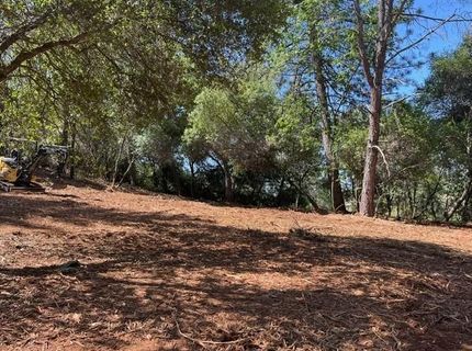 Hummingbird Ln, Cool, CA 95614 Photo