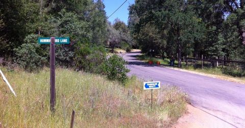 Hummingbird Ln, Cool, CA 95614 Photo