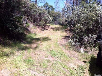 Hummingbird Ln, Cool, CA 95614 Photo