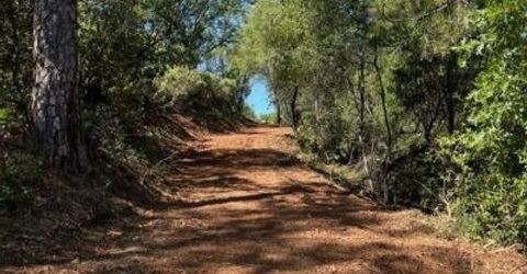 Hummingbird Ln, Cool, CA 95614 Photo