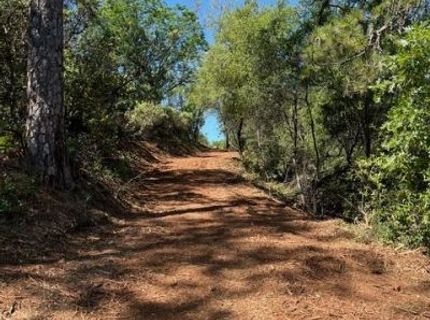 Hummingbird Ln, Cool, CA 95614 Photo