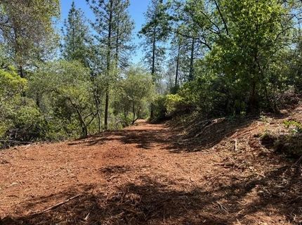 Hummingbird Ln, Cool, CA 95614 Photo