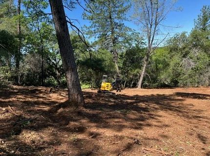 Hummingbird Ln, Cool, CA 95614 Photo