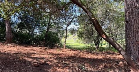 Hummingbird Ln, Cool, CA 95614 Photo