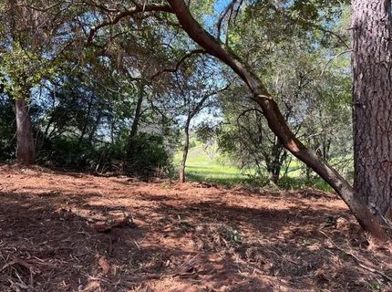 Hummingbird Ln, Cool, CA 95614 Photo
