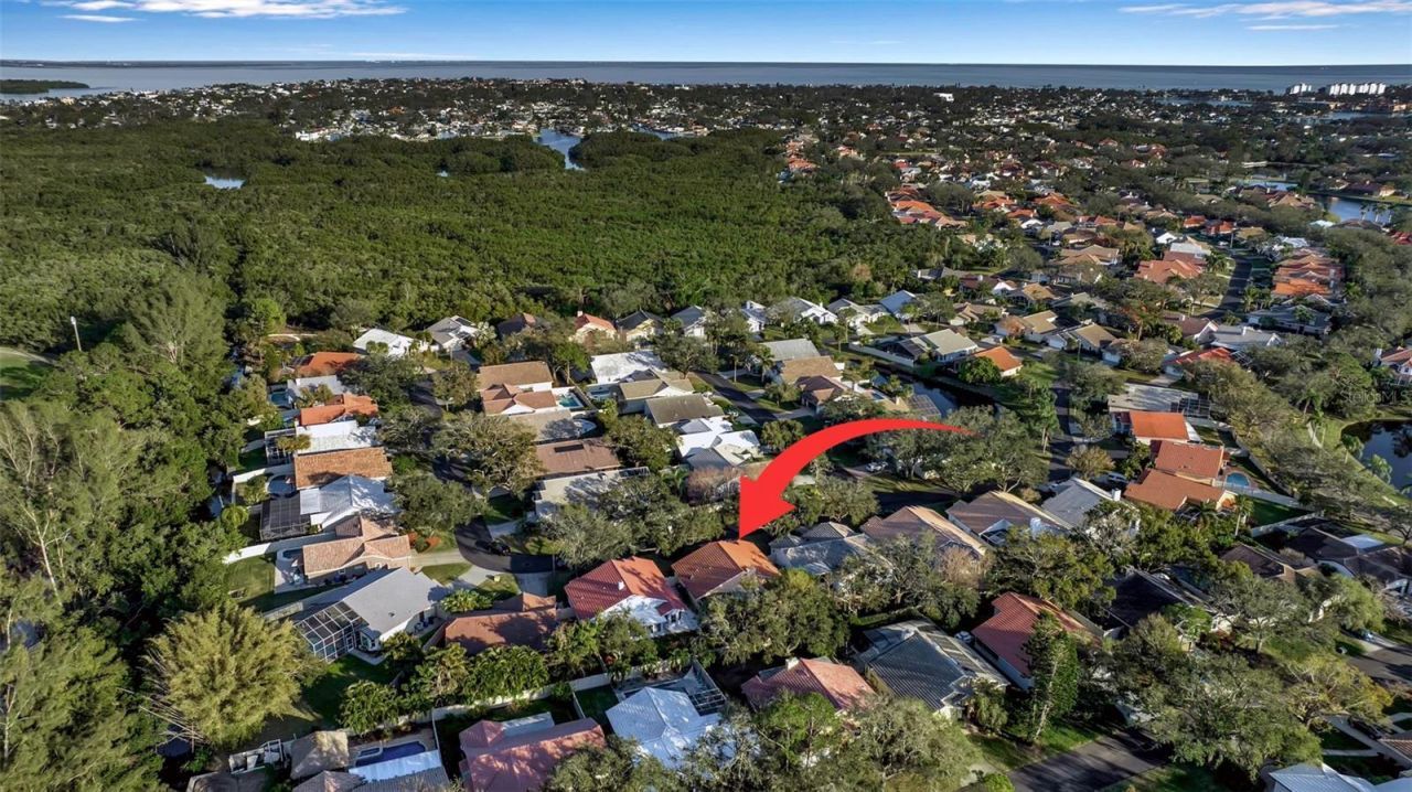 5232 White Sand Circle Ne, Saint Petersburg, FL 33703 Photo