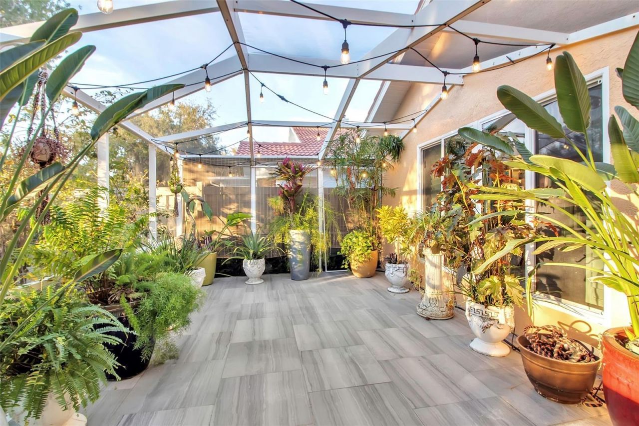 5232 White Sand Circle Ne, Saint Petersburg, FL 33703 Photo