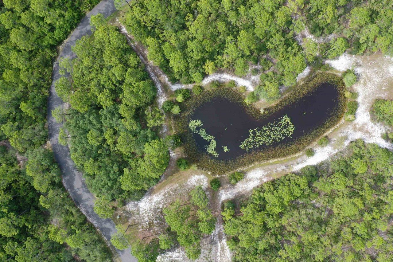 139 Winding Trail Way, Saint Teresa, FL 32358 Photo