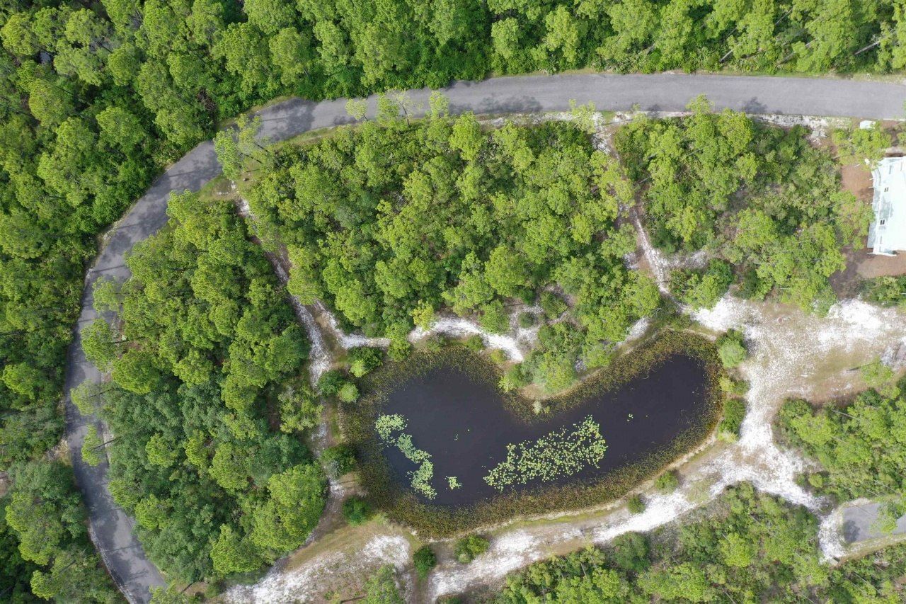 139 Winding Trail Way, Saint Teresa, FL 32358 Photo