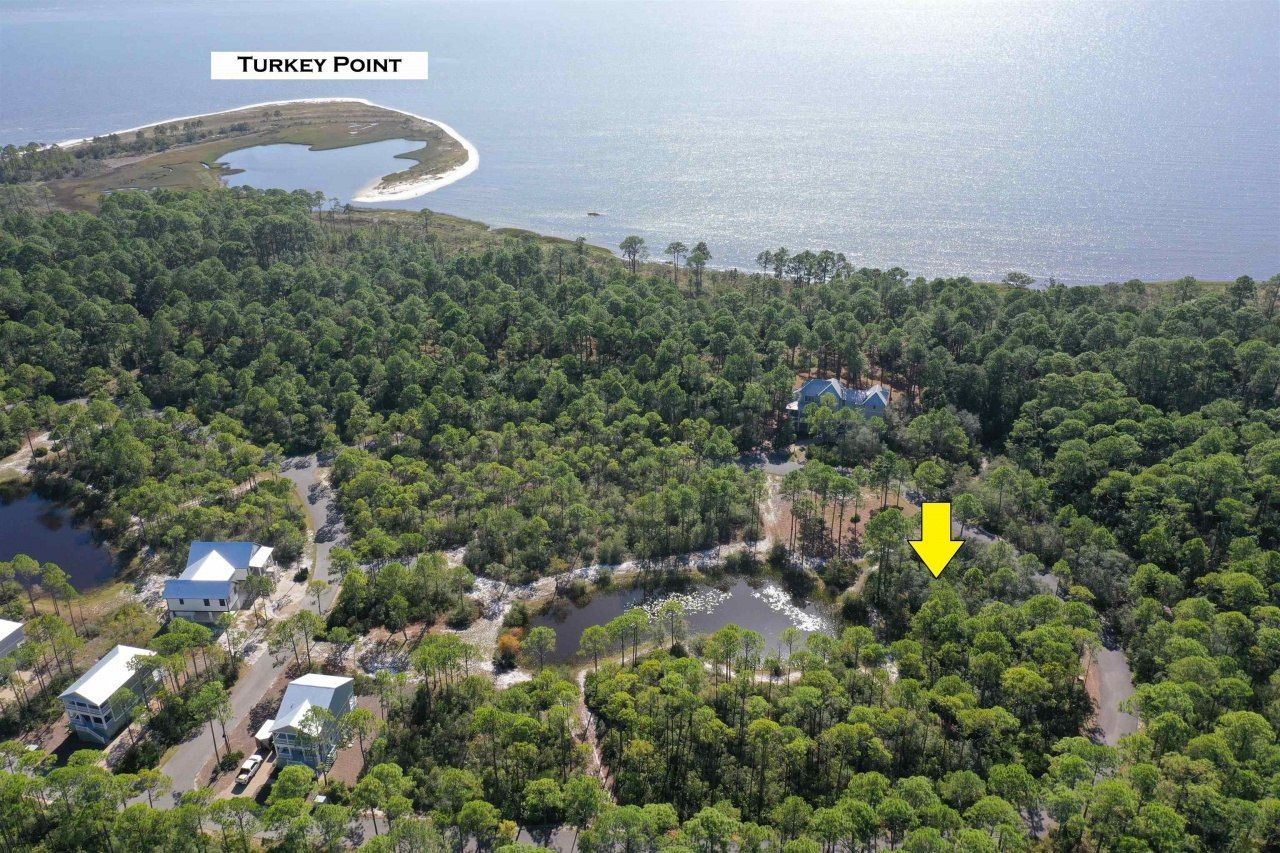 139 Winding Trail Way, Saint Teresa, FL 32358 Photo