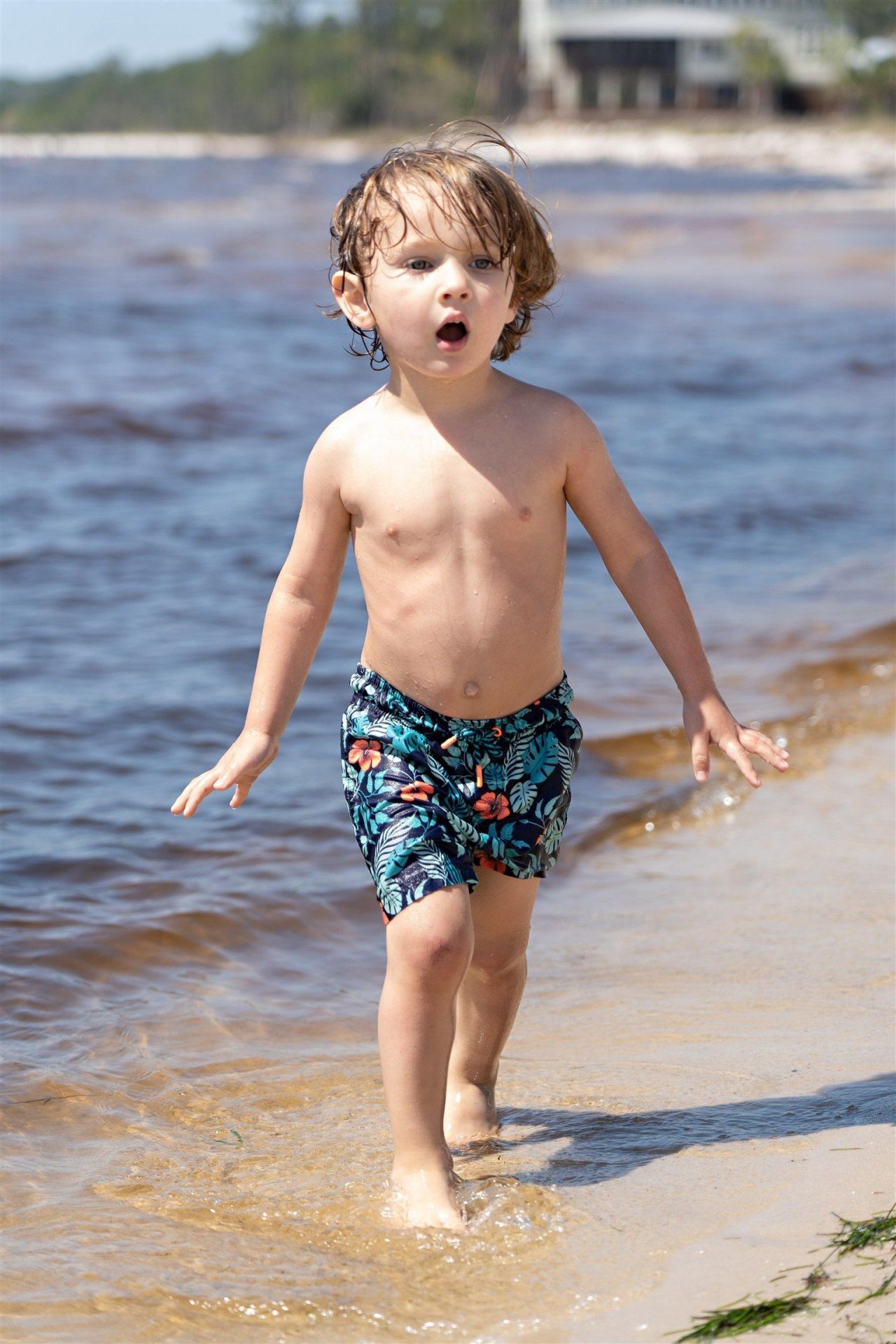 139 Winding Trail Way, Saint Teresa, FL 32358 Photo