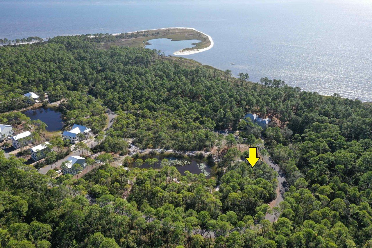 139 Winding Trail Way, Saint Teresa, FL 32358 Photo