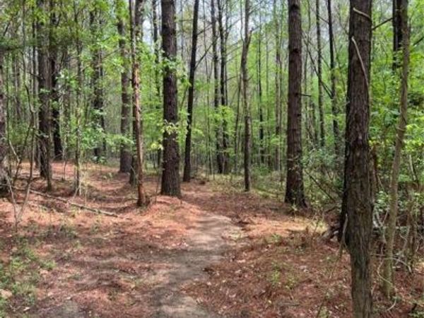 0 Willingham Drive, Fayetteville, GA 30214