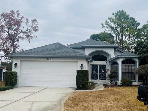 11425 BILLINGHAM BOULEVARD, SPRING HILL, FL 34609