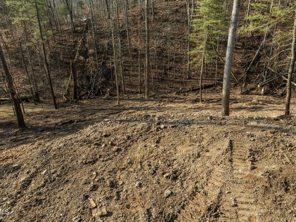 146 Cloudland Drive, Bristol, TN 37620