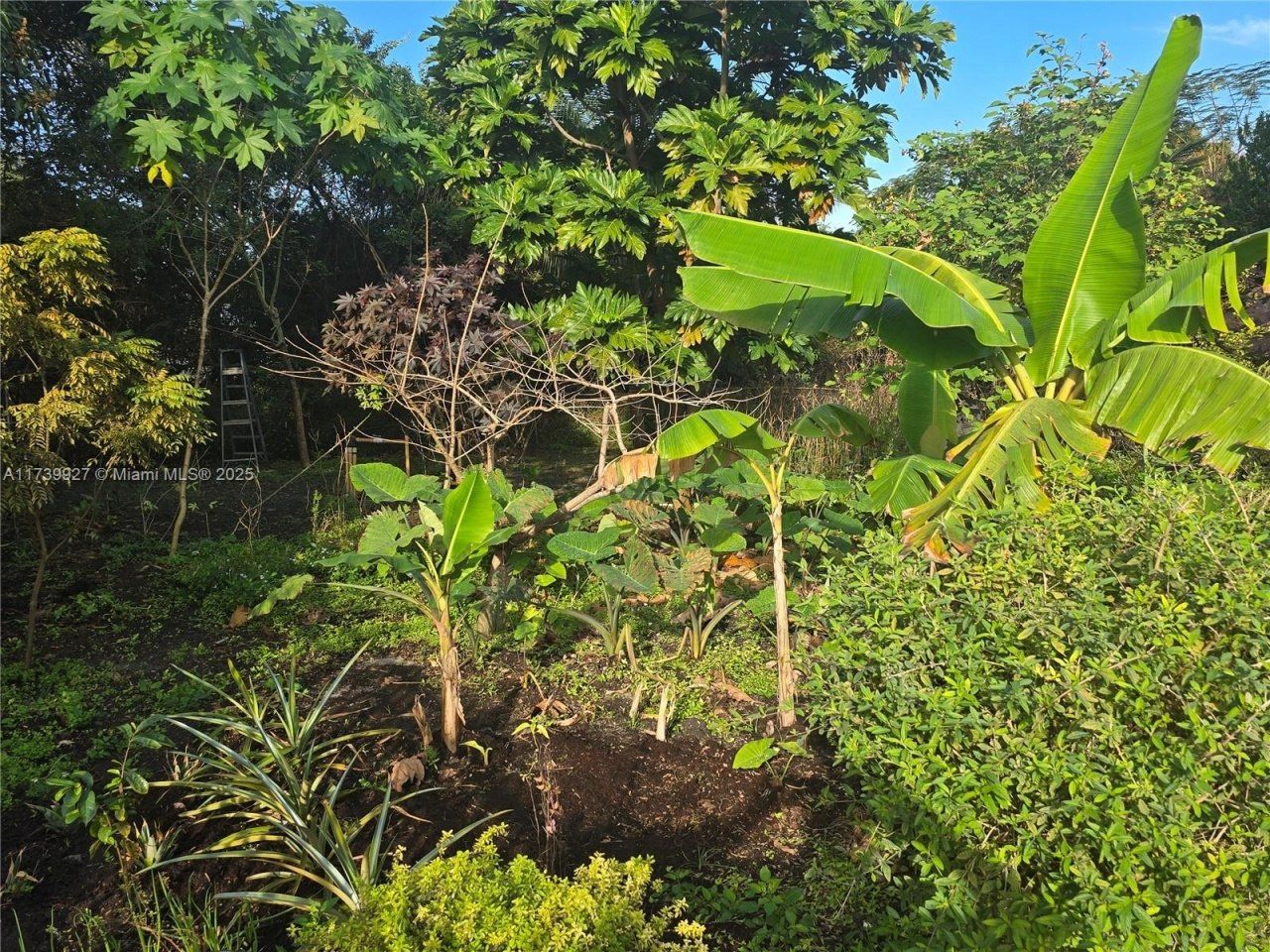 16916 NW 17th Ave, Miami Gardens, FL 33056 Photo