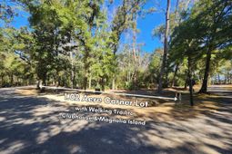 141 Bull Point Drive photo 4