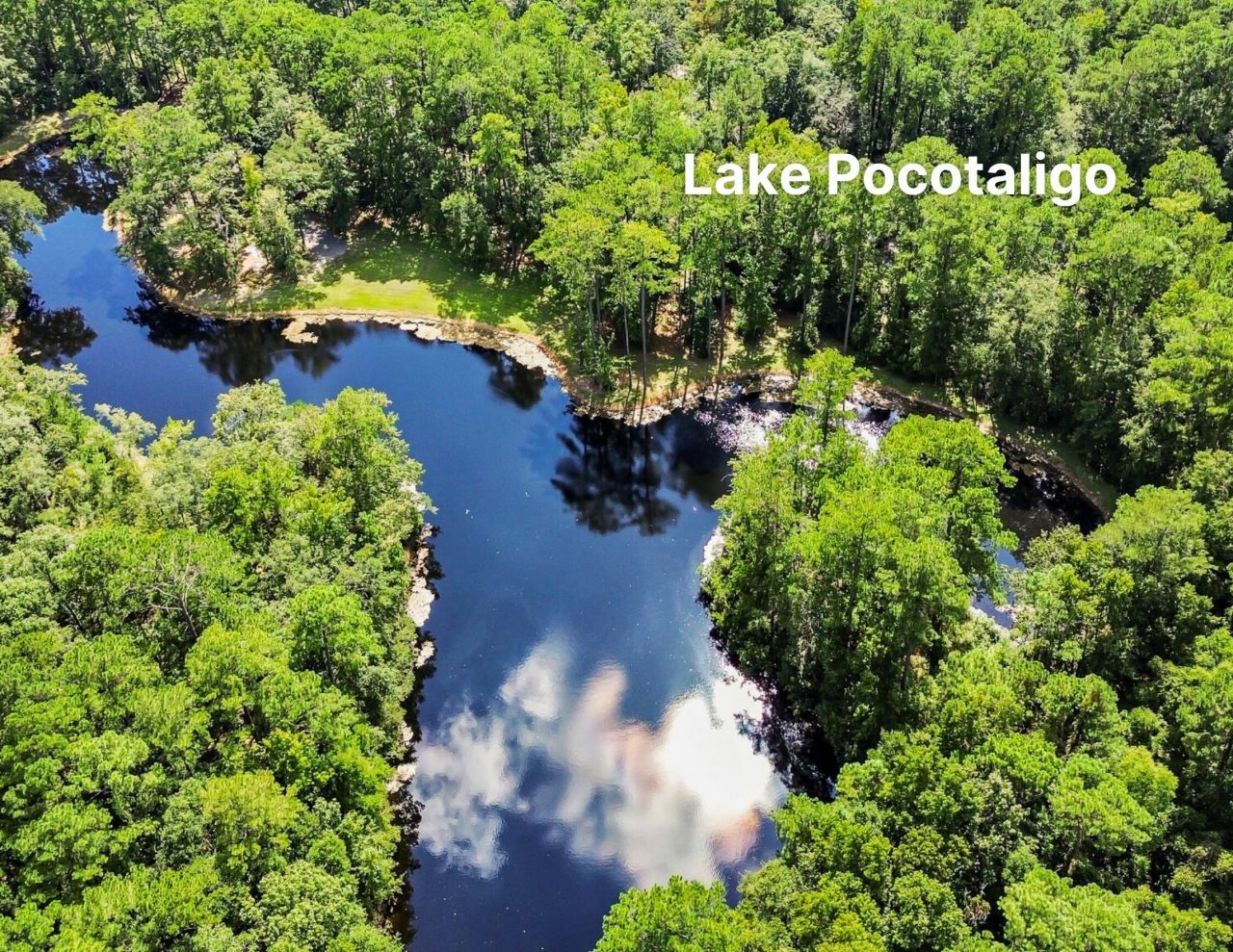 141 Bull Point Drive Photo 67