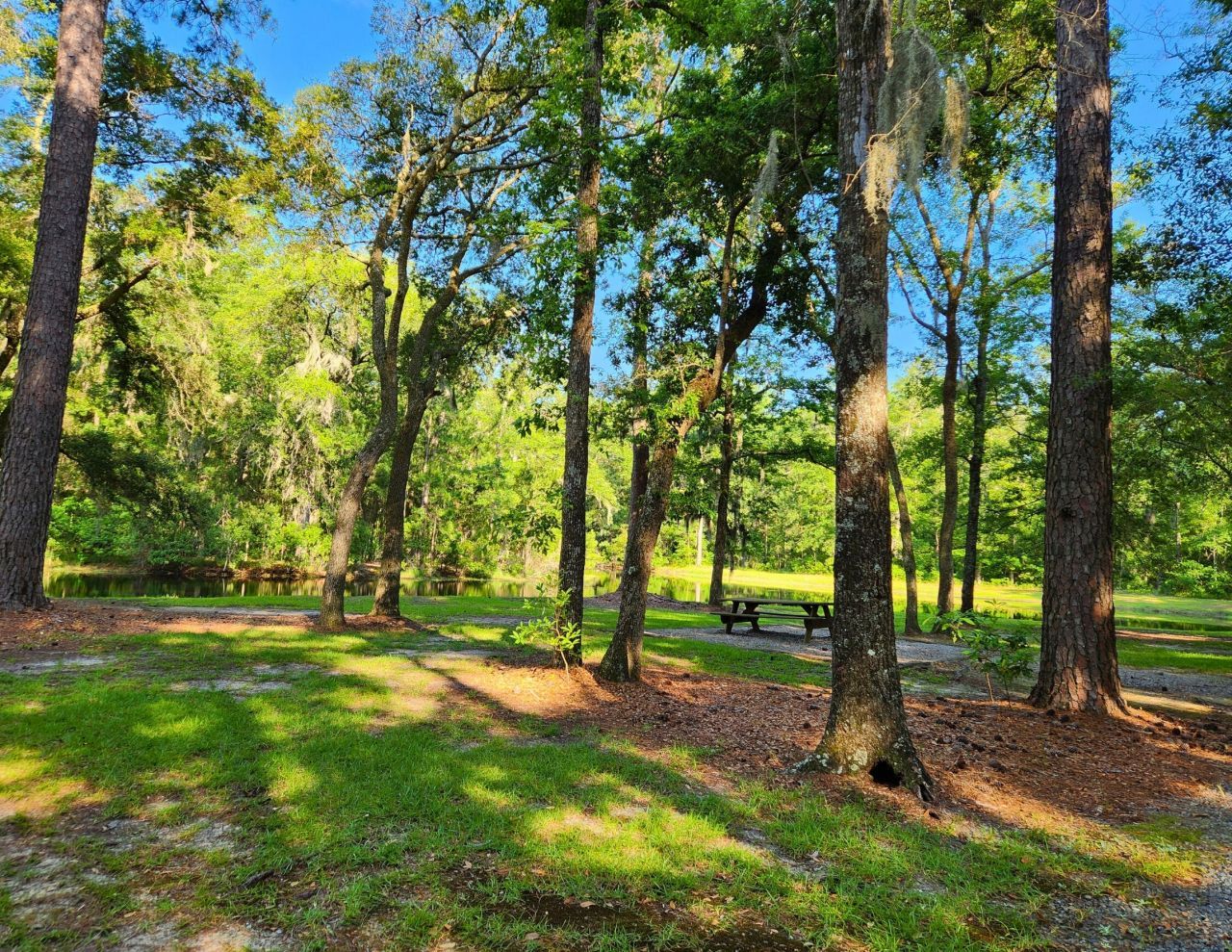 141 Bull Point Drive Photo 68