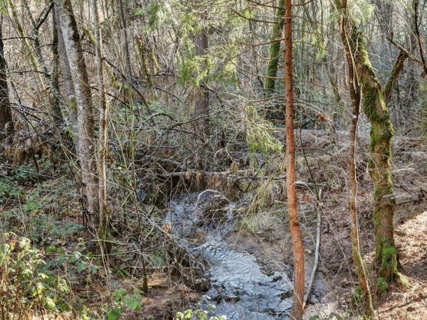 12195-12233 E Bennett Rd, Grass Valley, CA 95945