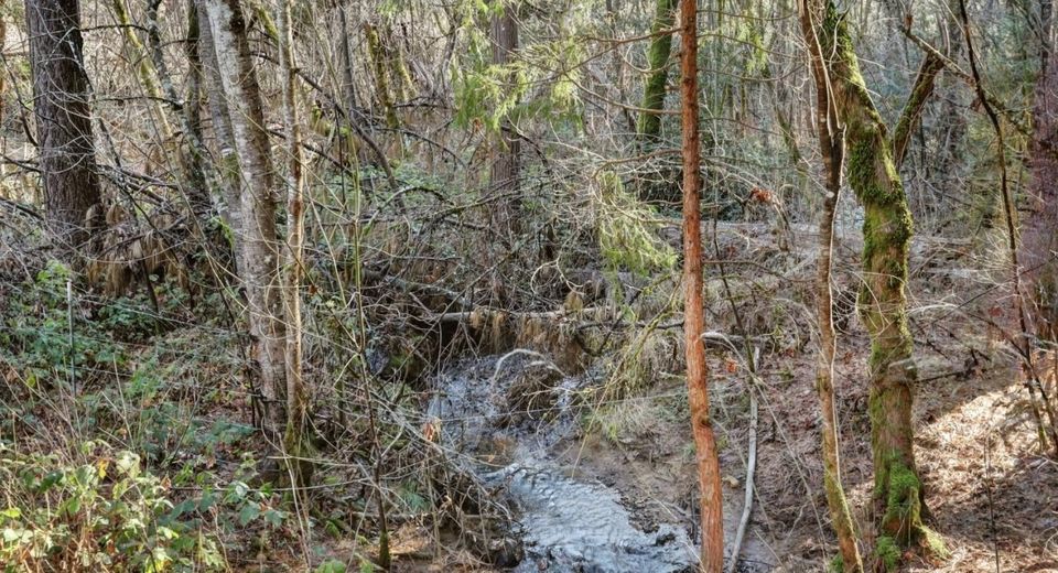 12195-12233 E Bennett Rd, Grass Valley, CA 95945 Photo