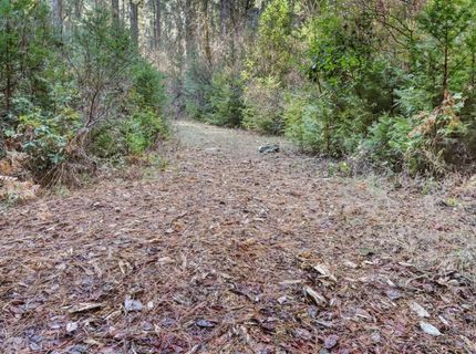 12195-12233 E Bennett Rd, Grass Valley, CA 95945 Photo