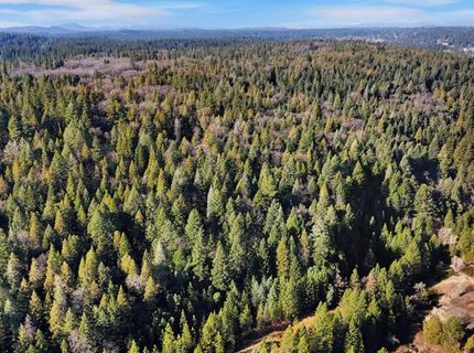 12195-12233 E Bennett Rd, Grass Valley, CA 95945 Photo