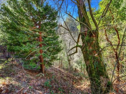 12195-12233 E Bennett Rd, Grass Valley, CA 95945 Photo