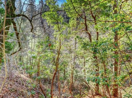 12195-12233 E Bennett Rd, Grass Valley, CA 95945 Photo