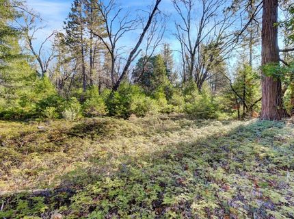 12195-12233 E Bennett Rd, Grass Valley, CA 95945 Photo