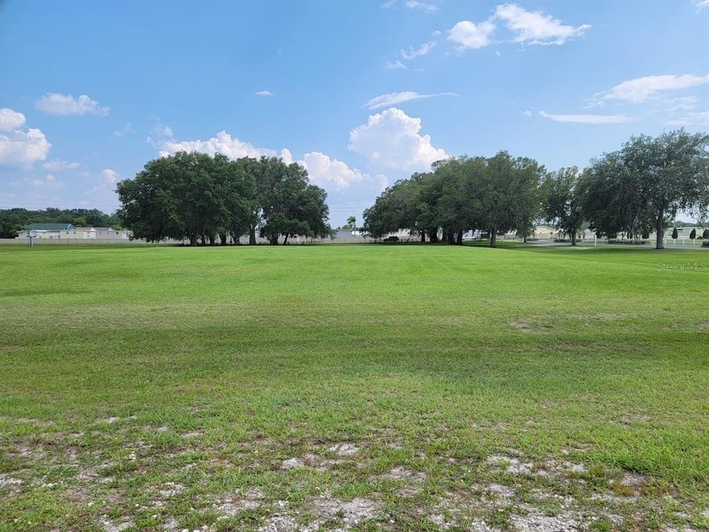 39735 Chancey Road, Zephyrhills, FL 33542 Photo