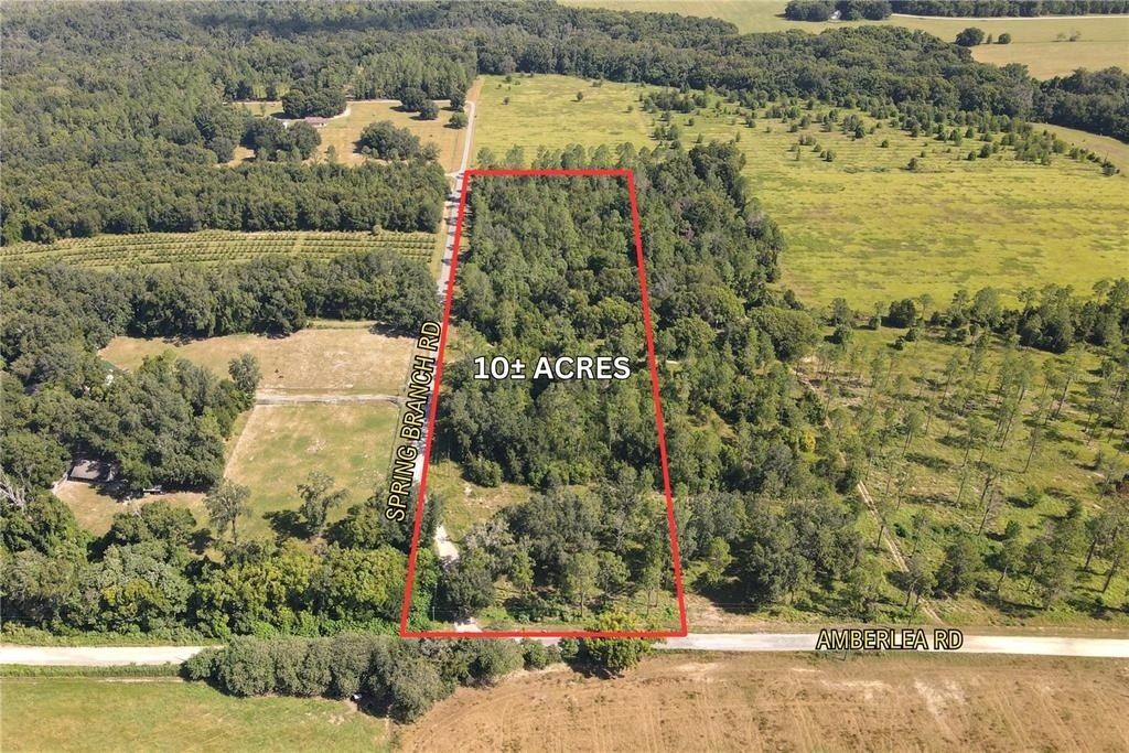 Amberlea Road, Dade City, FL 33523 Main Photo