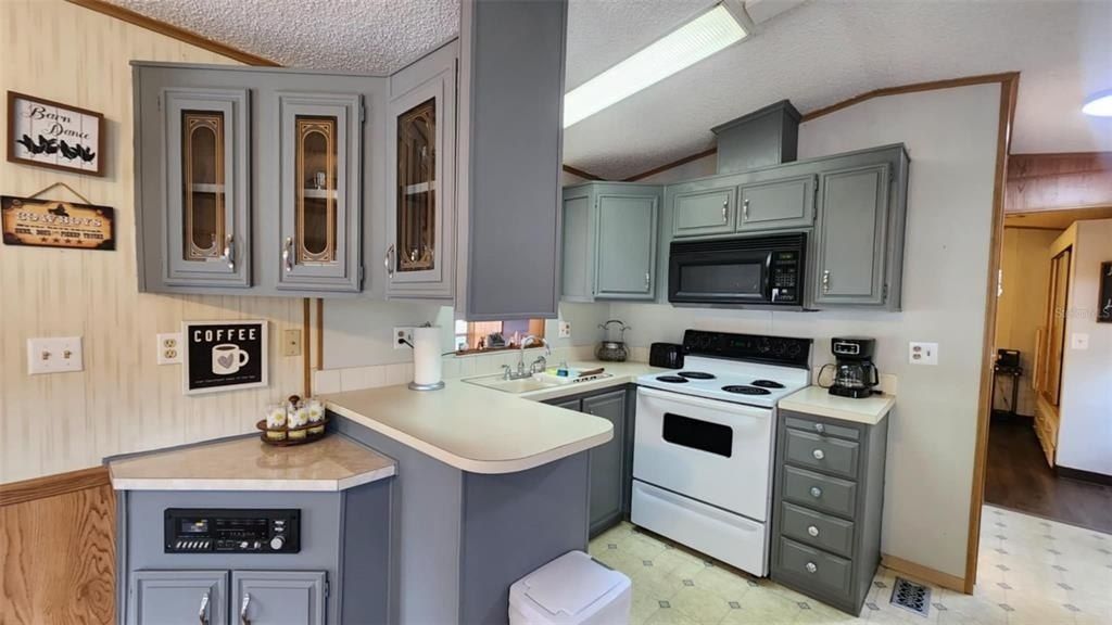 9 Long Hammock Drive, River Ranch, FL 33867 Photo